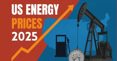 us energy prices 2025