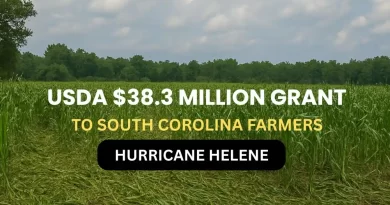 USDA $38.3 Million Grant South Carolina farmers Hurricane Helene