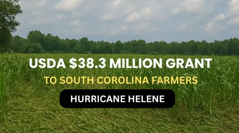 USDA $38.3 Million Grant South Carolina farmers Hurricane Helene
